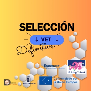 RESOLUCIÓN DEFINITIVA VET TRAINING TOGETHER